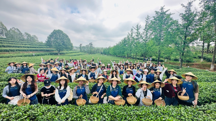 专业茶文化研学